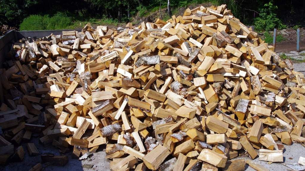 Ceny palivového dříví